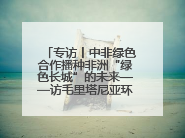 专访丨中非绿色合作播种非洲“绿色长城”的未来——访毛里塔尼亚环境部长拉格达夫