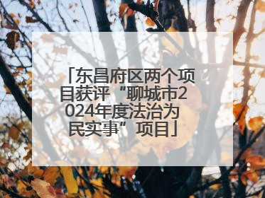 东昌府区两个项目获评“聊城市2024年度法治为民实事”项目