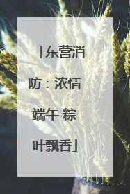 东营消防：浓情端午 粽叶飘香