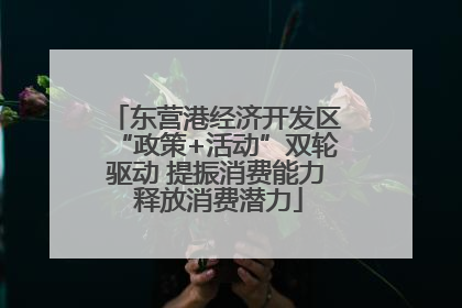 东营港经济开发区“政策+活动”双轮驱动 提振消费能力 释放消费潜力