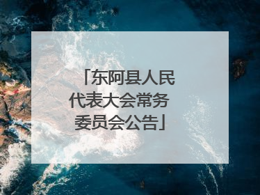 东阿县人民代表大会常务委员会公告