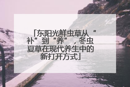 东阳光鲜虫草从“补”到“养”，冬虫夏草在现代养生中的新打开方式