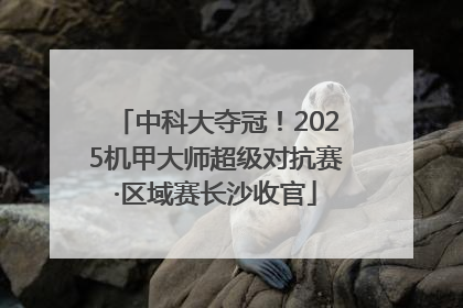 中科大夺冠！2025机甲大师超级对抗赛·区域赛长沙收官