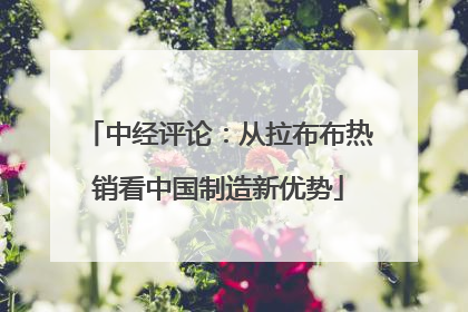 中经评论：从拉布布热销看中国制造新优势