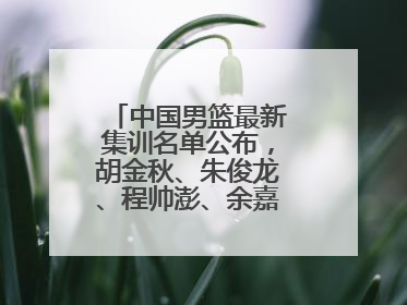 中国男篮最新集训名单公布，胡金秋、朱俊龙、程帅澎、余嘉豪再次入选
