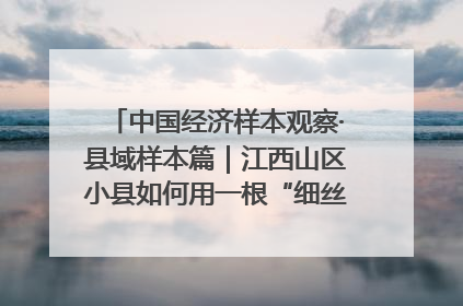 中国经济样本观察·县域样本篇｜江西山区小县如何用一根“细丝”拉出百亿级产业？