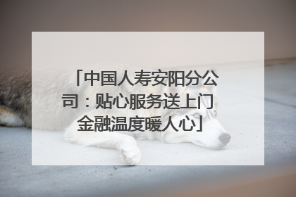 中国人寿安阳分公司：贴心服务送上门 金融温度暖人心
