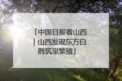 中国日报看山西｜山西发现东方白鹳筑巢繁殖