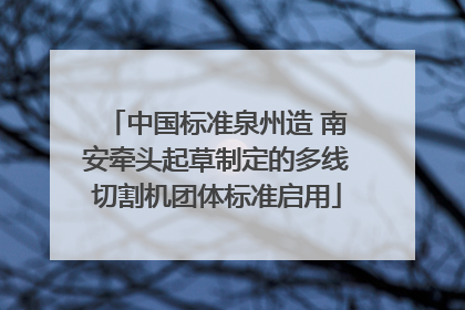 中国标准泉州造 南安牵头起草制定的多线切割机团体标准启用