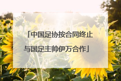 中国足协按合同终止与国足主帅伊万合作