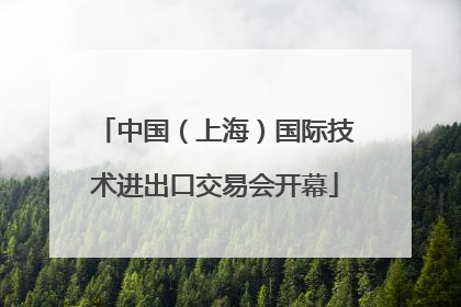 中国（上海）国际技术进出口交易会开幕
