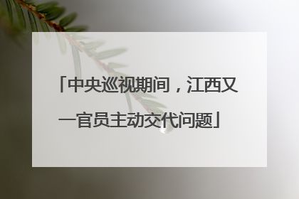 中央巡视期间，江西又一官员主动交代问题