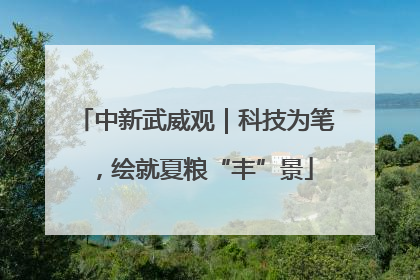 中新武威观｜科技为笔，绘就夏粮“丰”景