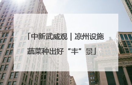 中新武威观｜凉州设施蔬菜种出好“丰”景
