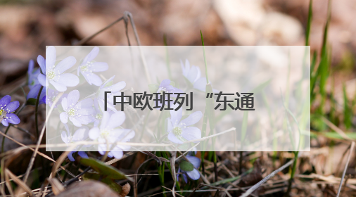 中欧班列“东通道”交通咽喉绥芬河隧道全线贯通