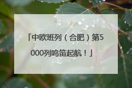 中欧班列（合肥）第5000列鸣笛起航！