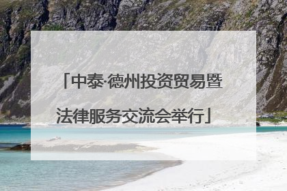 中泰·德州投资贸易暨法律服务交流会举行
