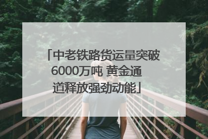 中老铁路货运量突破6000万吨 黄金通道释放强劲动能