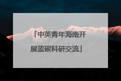 中英青年海南开展蓝碳科研交流