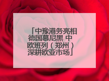 中豫港务亮相德国慕尼黑 中欧班列（郑州）深耕欧亚市场