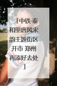 中铁·泰和里唐风宋韵主题街区开市 郑州再添好去处