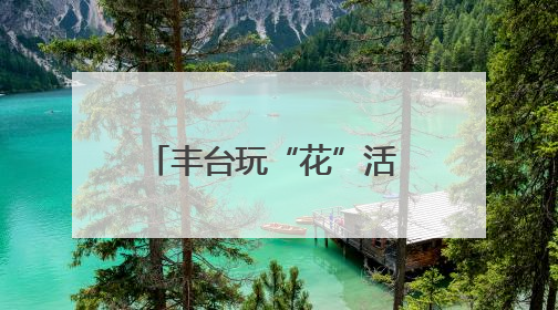 丰台玩“花”活 花街夜市百万片玫瑰花瓣雨甜翻北京城