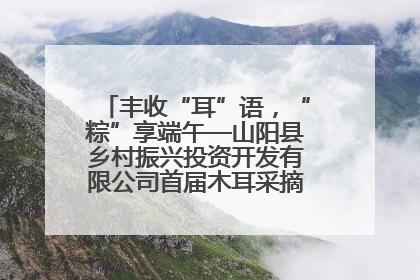 丰收“耳”语，“粽”享端午—山阳县乡村振兴投资开发有限公司首届木耳采摘活动盛大启幕