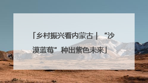 乡村振兴看内蒙古｜“沙漠蓝莓”种出紫色未来