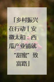 乡村振兴在行动丨安徽太和：西瓜产业铺就“甜蜜”致富路
