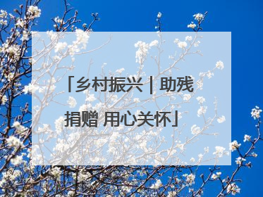 乡村振兴｜助残捐赠 用心关怀