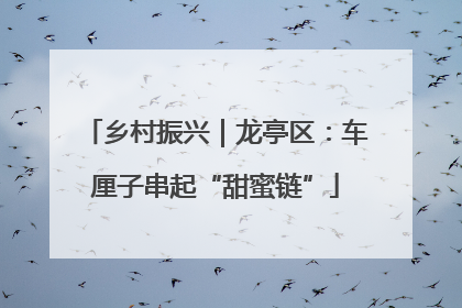 乡村振兴｜龙亭区：车厘子串起“甜蜜链”