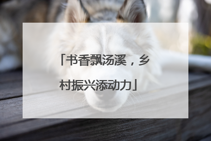 书香飘汤溪，乡村振兴添动力