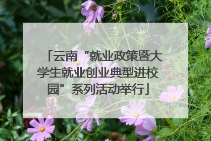 云南“就业政策暨大学生就业创业典型进校园”系列活动举行