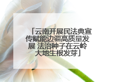 云南开展民法典宣传赋能边疆高质量发展 法治种子在云岭大地生根发芽