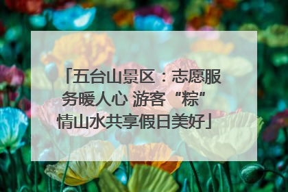 五台山景区：志愿服务暖人心 游客“粽”情山水共享假日美好