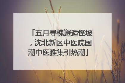 五月寻槐邂逅怪坡，沈北新区中医院国潮中医雅集引热潮