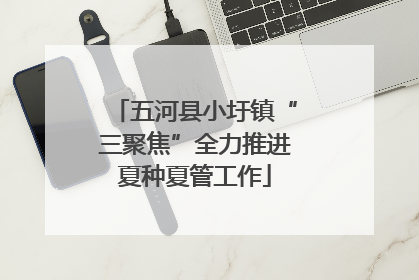 五河县小圩镇“三聚焦”全力推进夏种夏管工作