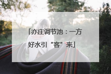 亦庄调节池：一方好水引“客”来