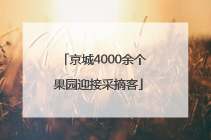 京城4000余个果园迎接采摘客