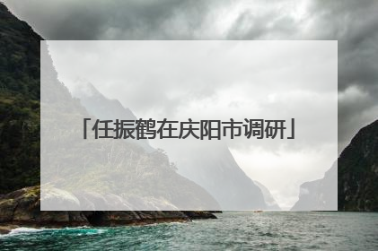 任振鹤在庆阳市调研