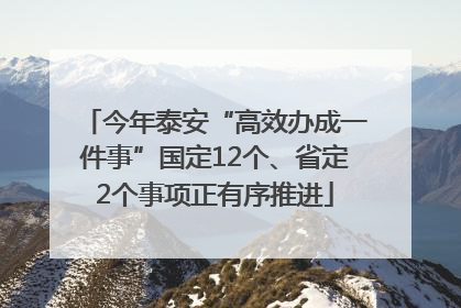 今年泰安“高效办成一件事”国定12个、省定2个事项正有序推进