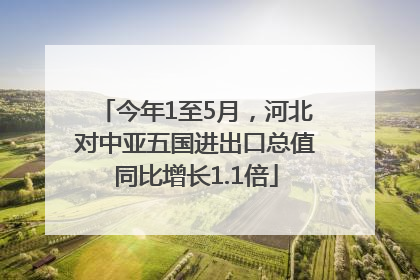 今年1至5月，河北对中亚五国进出口总值同比增长1.1倍