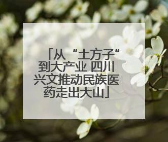 从“土方子”到大产业 四川兴文推动民族医药走出大山