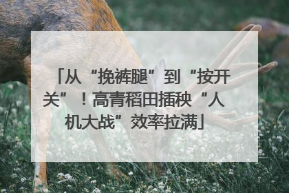 从“挽裤腿”到“按开关”！高青稻田插秧“人机大战”效率拉满