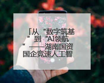 从“数字筑基”到“AI领航”——湖南国资国企竞速人工智能新赛道
