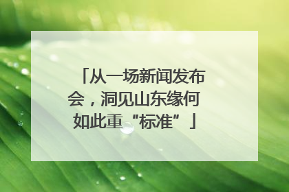 从一场新闻发布会，洞见山东缘何如此重“标准”