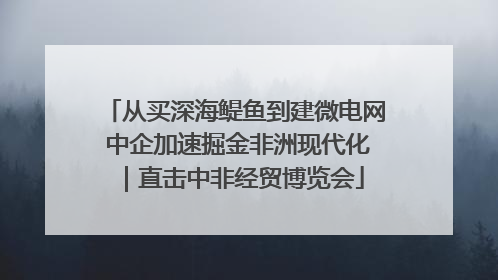 从买深海鳀鱼到建微电网 中企加速掘金非洲现代化｜直击中非经贸博览会