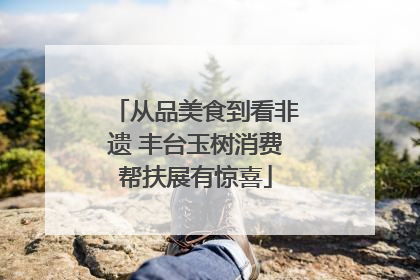 从品美食到看非遗 丰台玉树消费帮扶展有惊喜