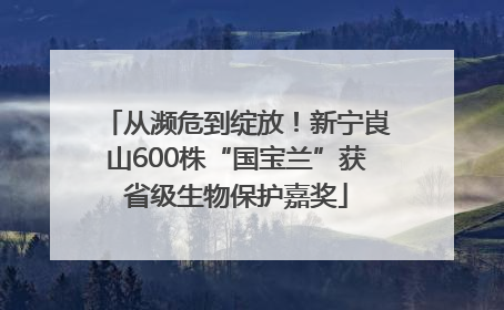 从濒危到绽放！新宁崀山600株“国宝兰”获省级生物保护嘉奖