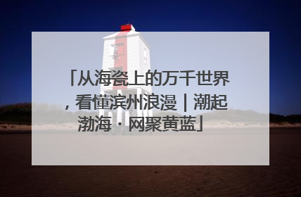 从海瓷上的万千世界，看懂滨州浪漫｜潮起渤海・网聚黄蓝